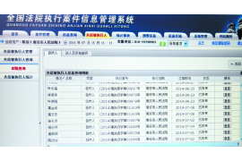 新疆为什么选择专业追讨公司来处理您的债务纠纷？